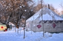 5 year old yurt